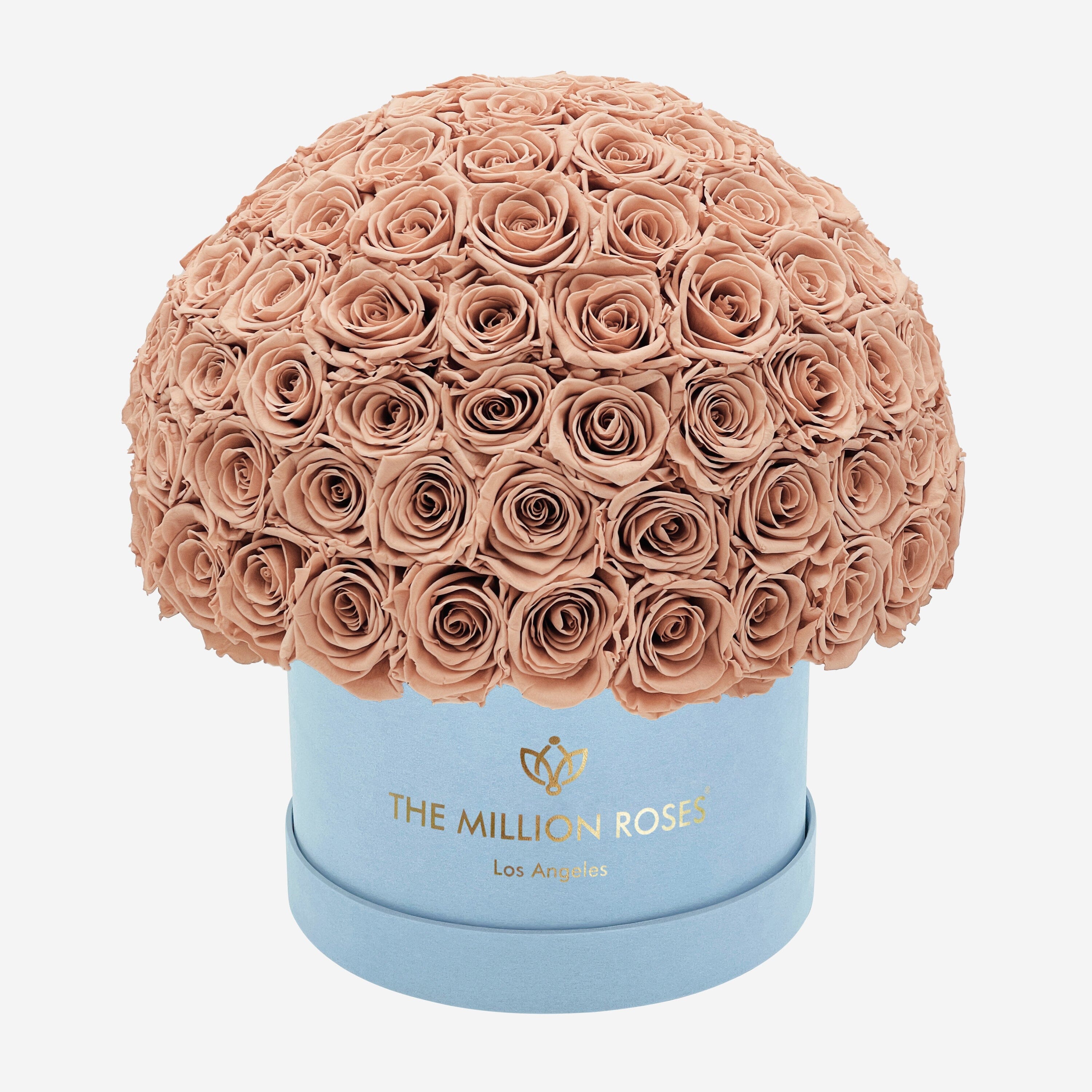 Boîte Superdome en daim bleu clair suprême | Roses de sable