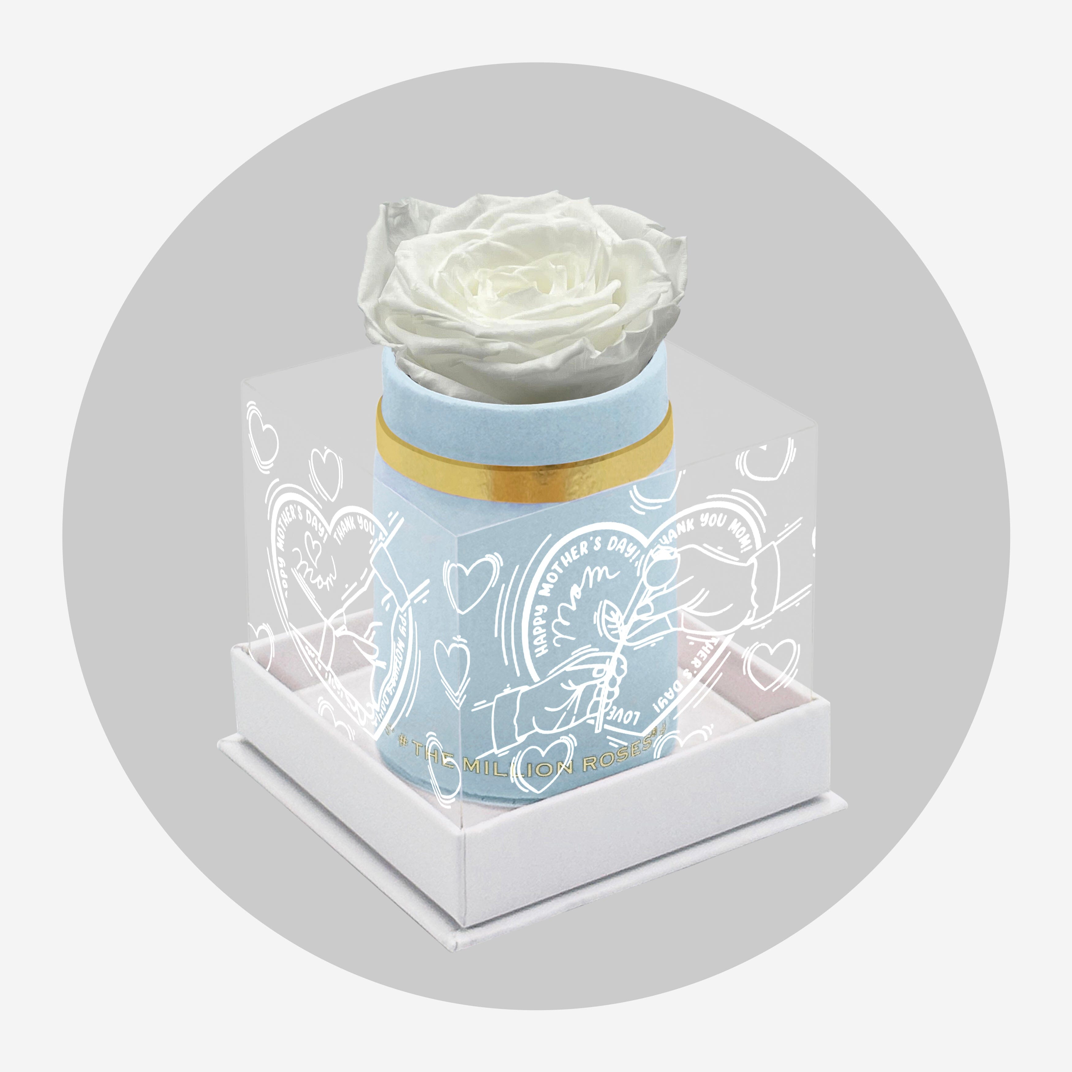 Scatola singola in camoscio azzurro | Edizione limitata dell'amore della mamma | Rosa Bianca