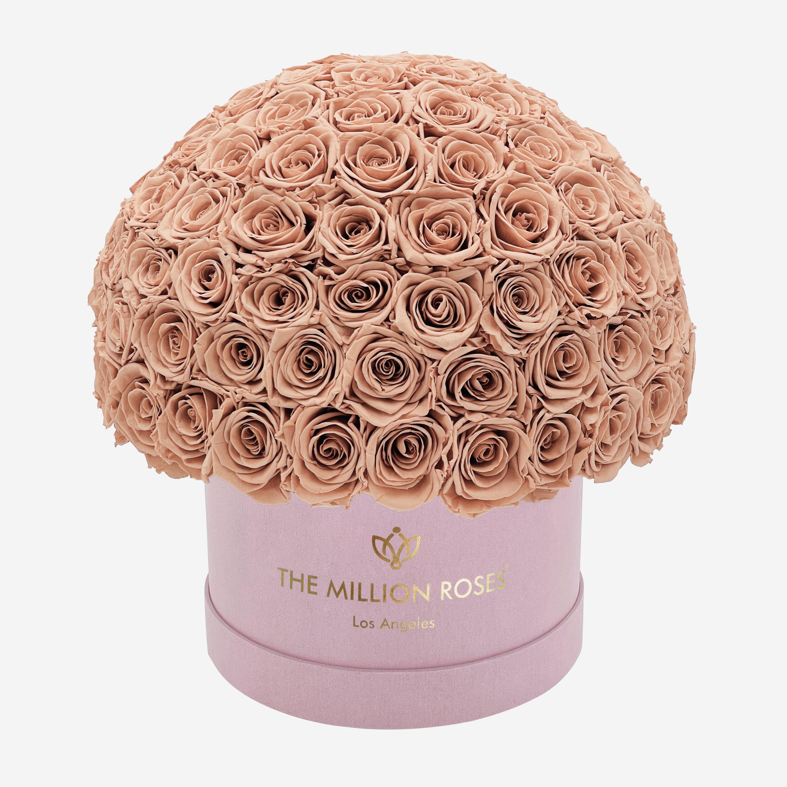 Cutie Superdome din piele de căprioară roz deschis suprem | Trandafiri de nisip