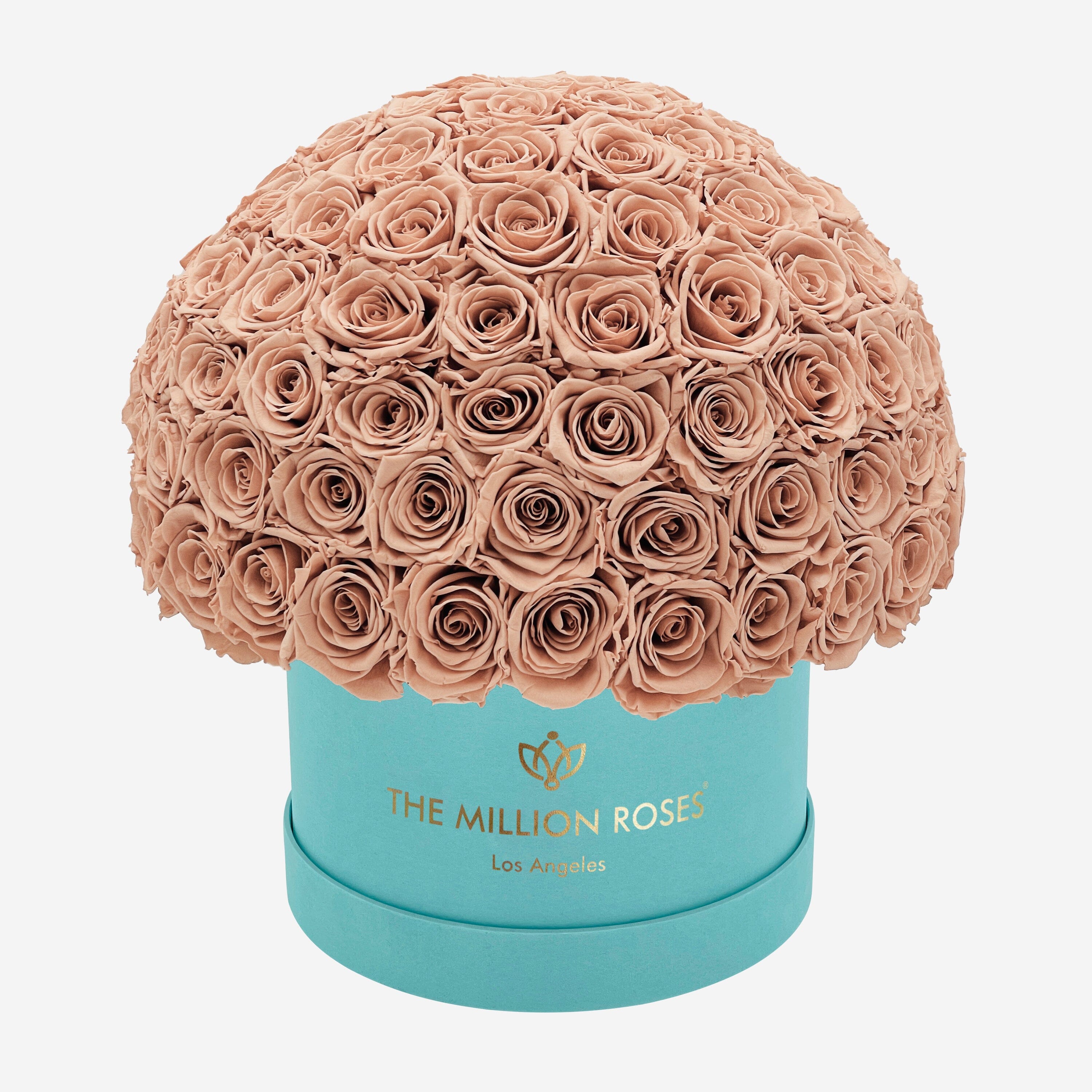 Boîte Superdome en daim vert menthe suprême | Roses de sable