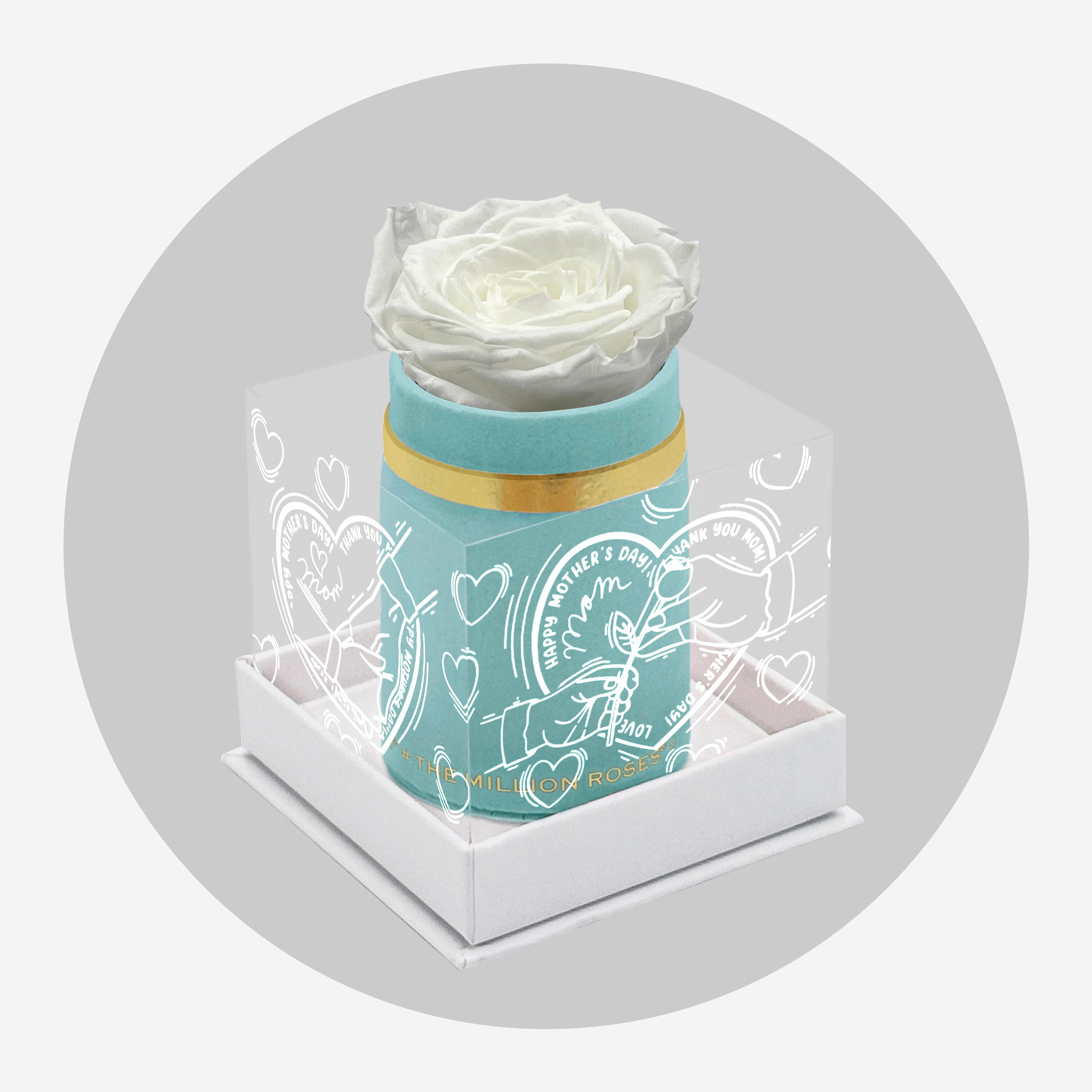 Scatola singola in camoscio verde menta | Edizione limitata dell'amore della mamma | Rosa Bianca