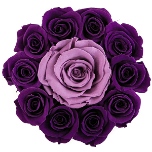 Basic White Box | Flamingo Edition | Bright Purple Mini Roses - The Million Roses