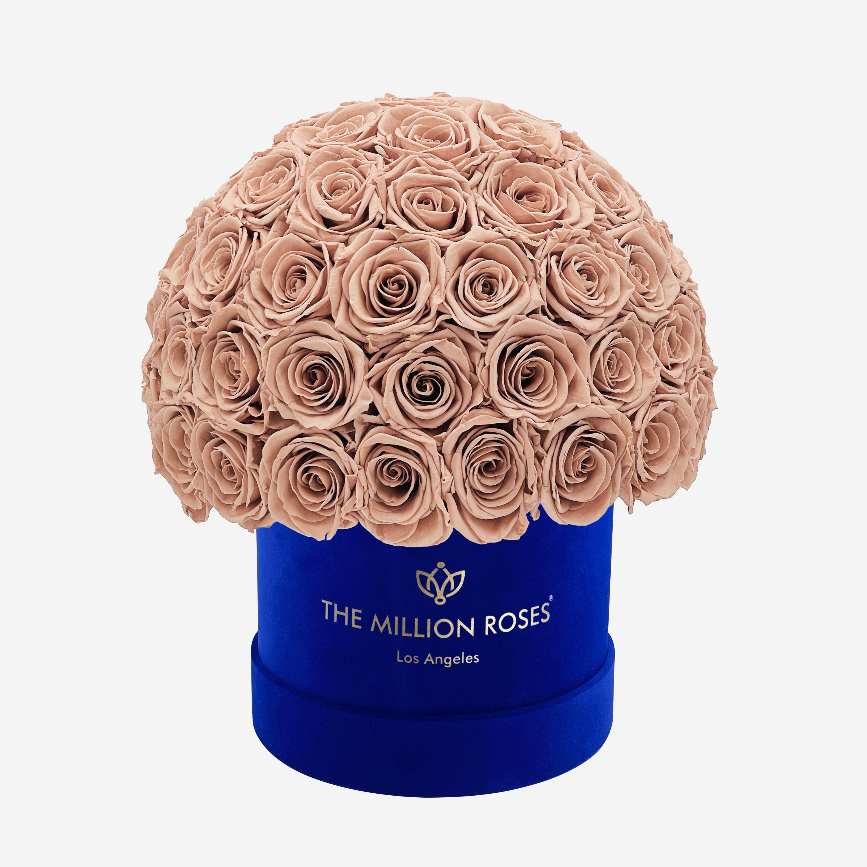 Boîte Superdome classique en daim bleu royal | Roses de sable