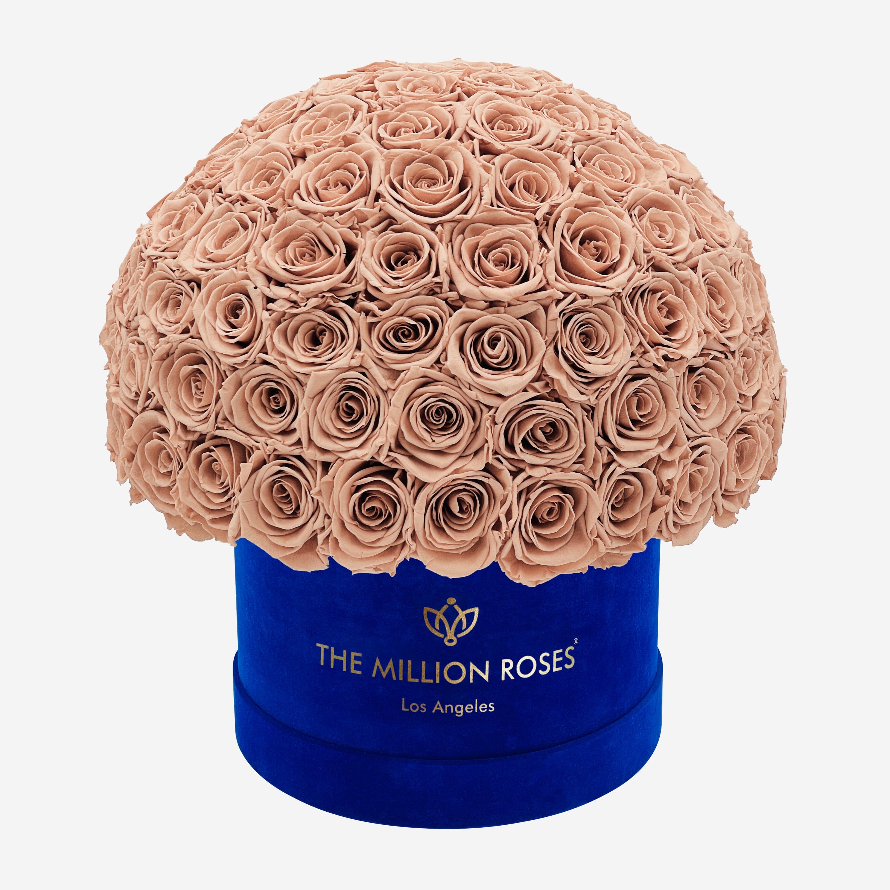Boîte Superdome en daim bleu royal suprême | Roses de sable