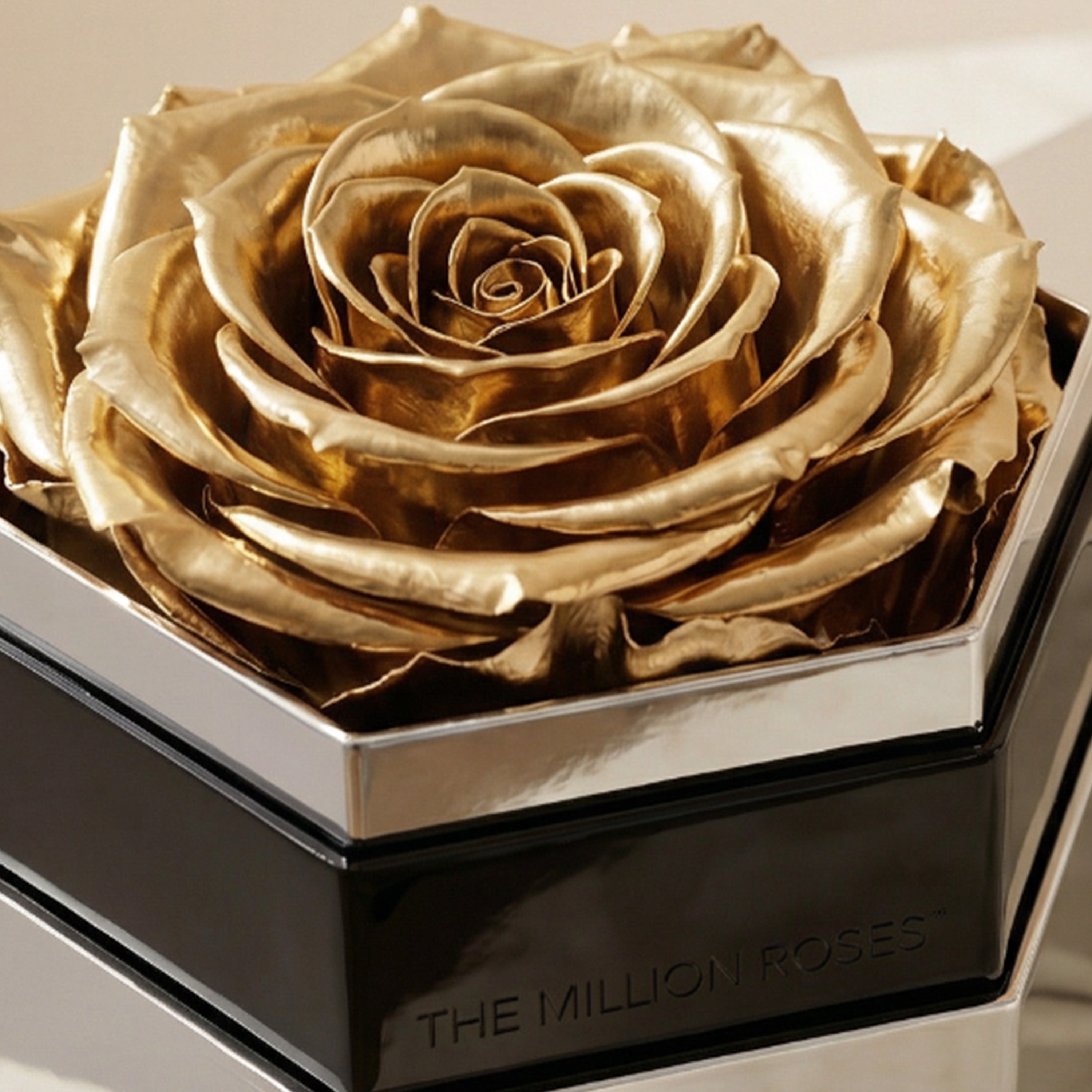 One in a Million™ Mirror Silver Hexagon Box | Gold Rose