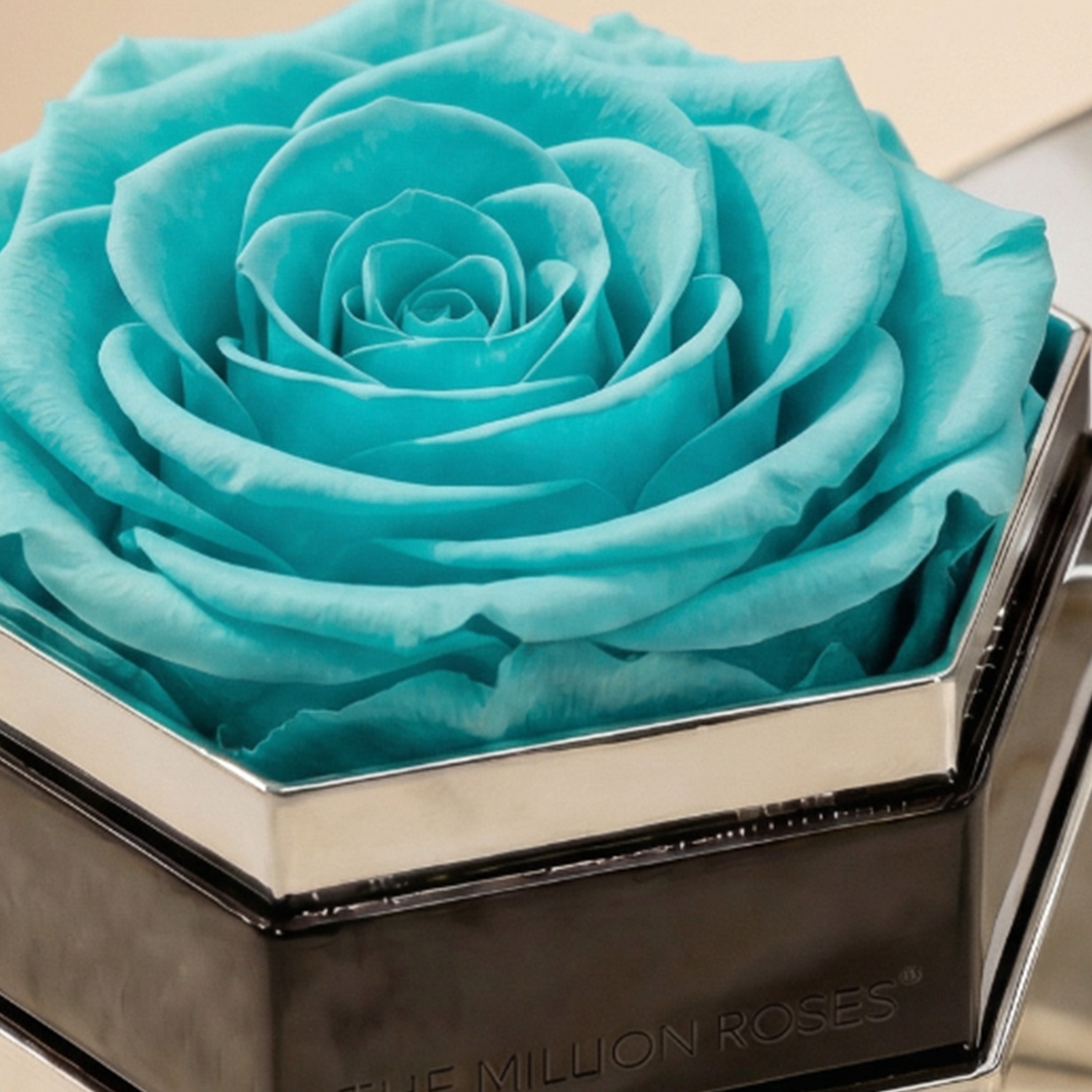 One in a Million™ Mirror Silver Hexagon Box | Turquoise Rose
