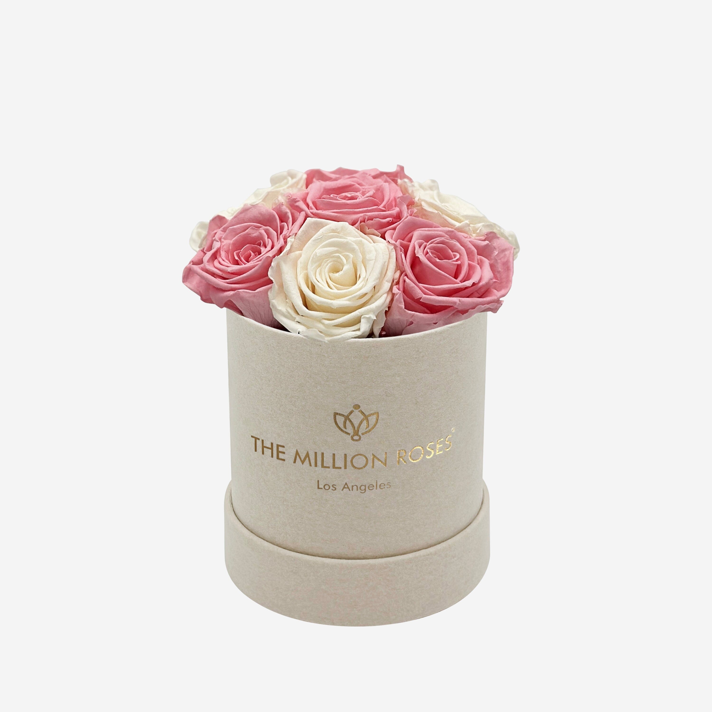 Classic Beige Suede Superdome Box, Light Pink Roses