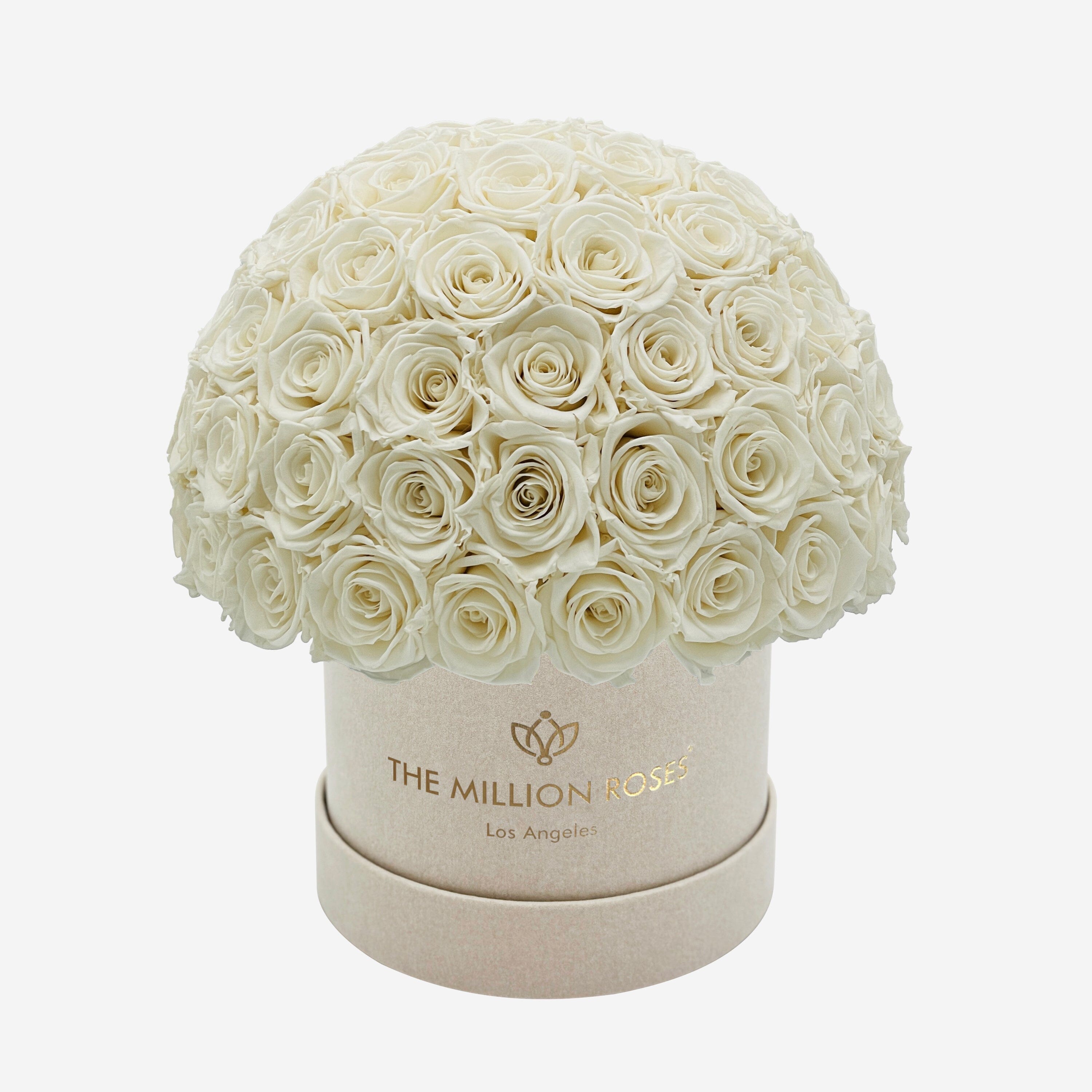 Boîte Superdome Classic Beige Suede | Roses blanches