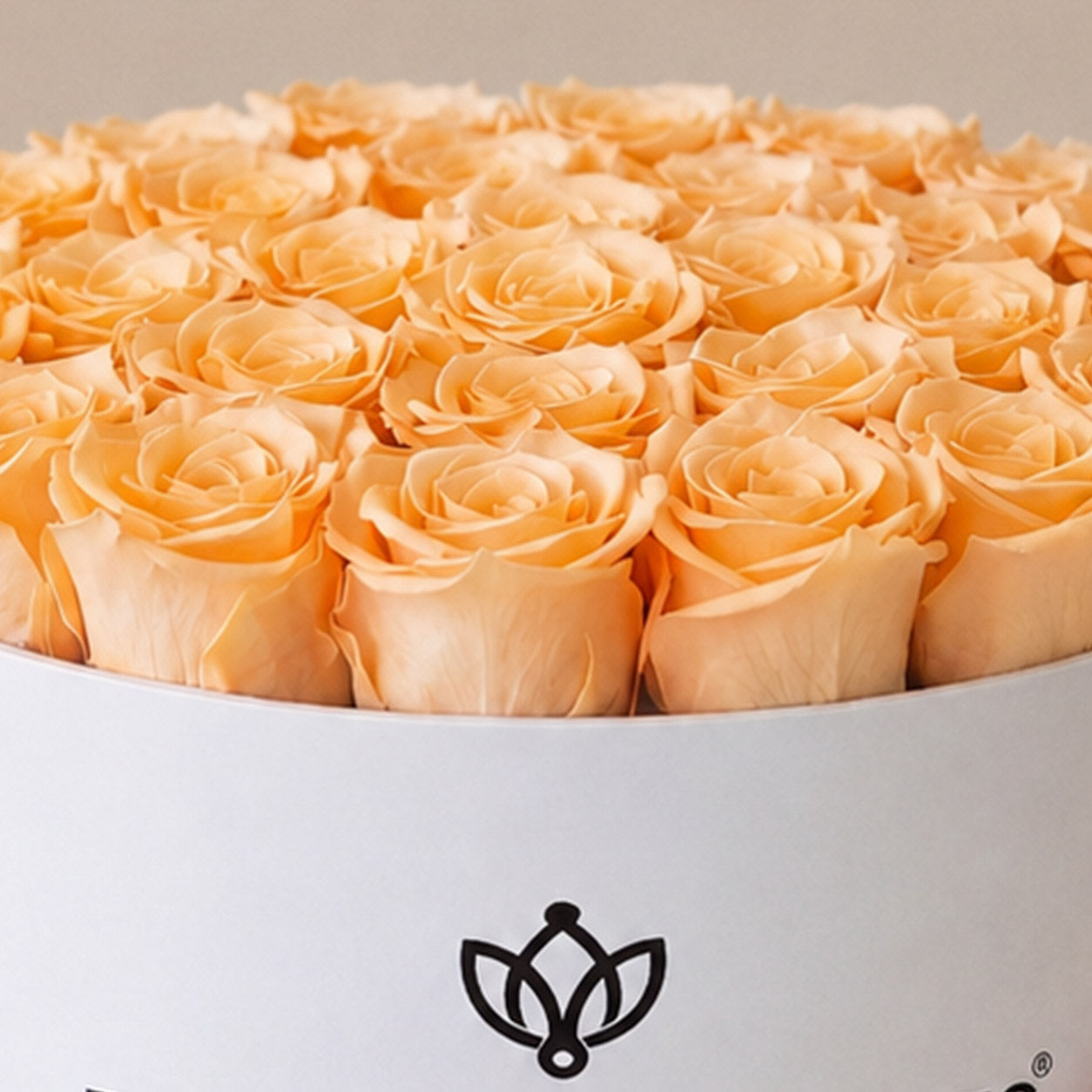 Supreme White Box | Peach Roses