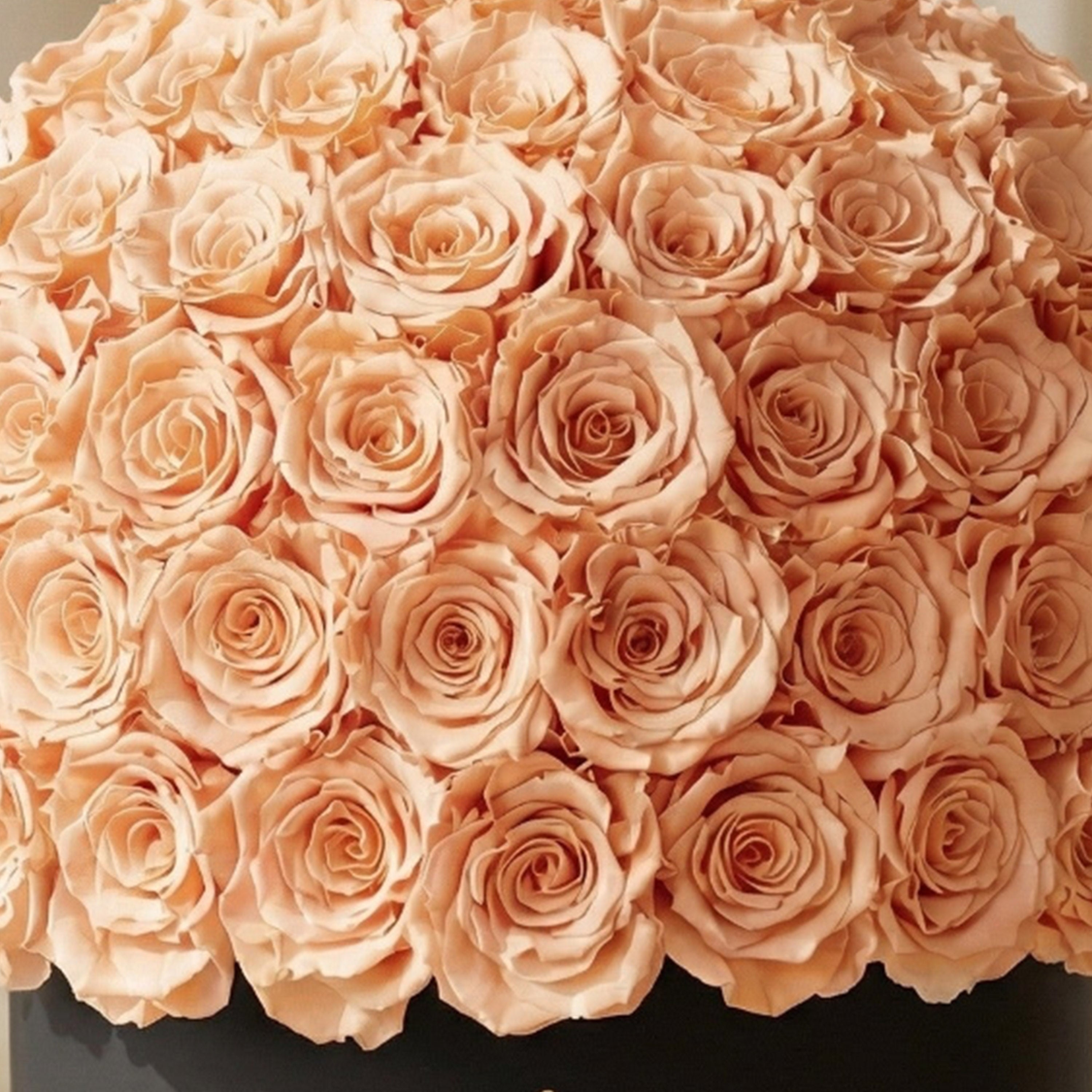 Supreme Black Superdome Box | Peach Roses