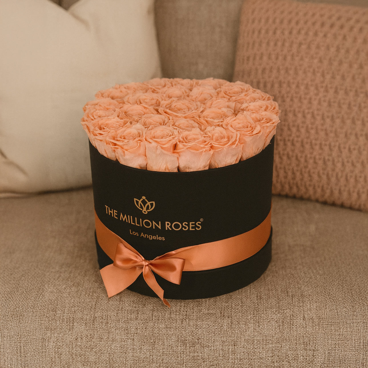 Supreme Black Box | Peach Roses