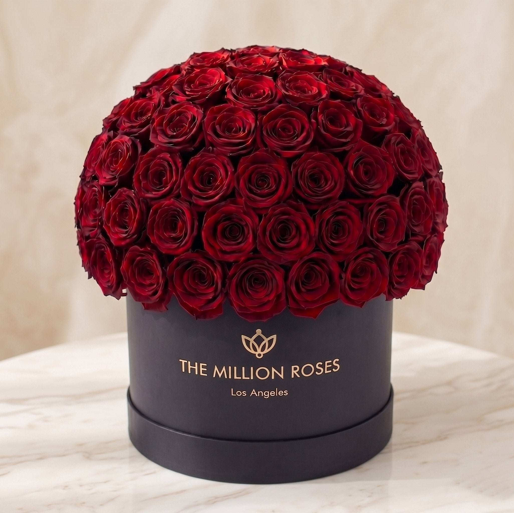 Supreme Black Superdome Box | Burgundy Roses
