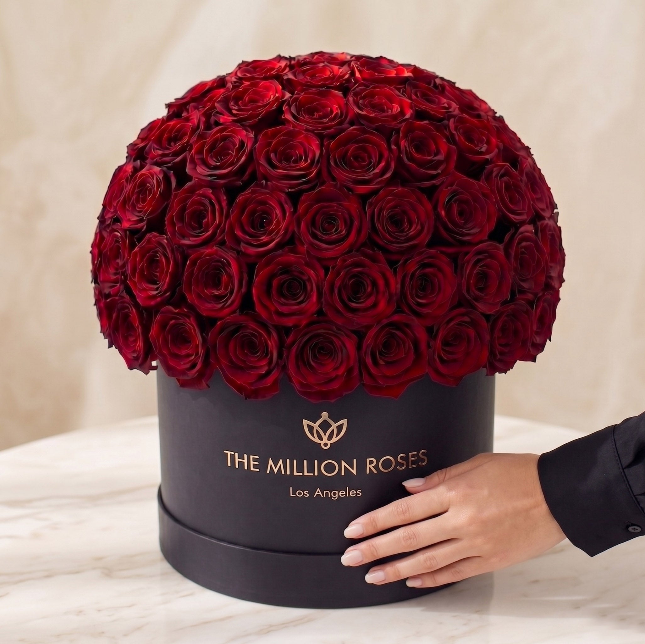 Supreme Black Superdome Box | Burgundy Roses