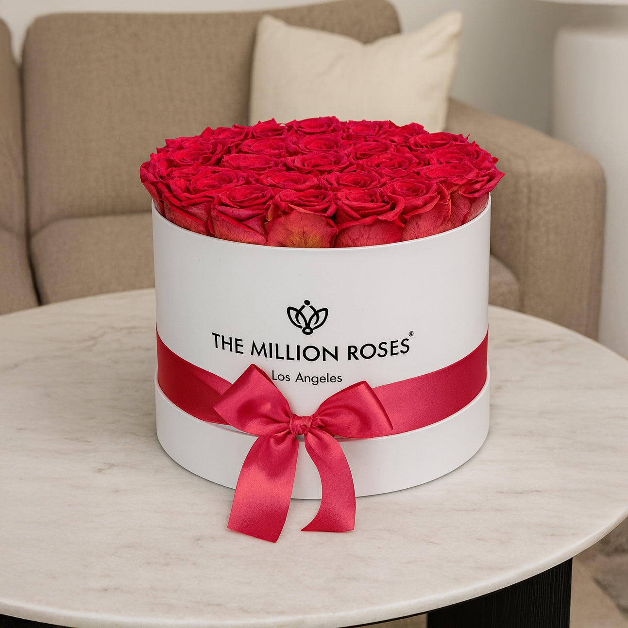 Cutie albă supremă | Trandafiri corali