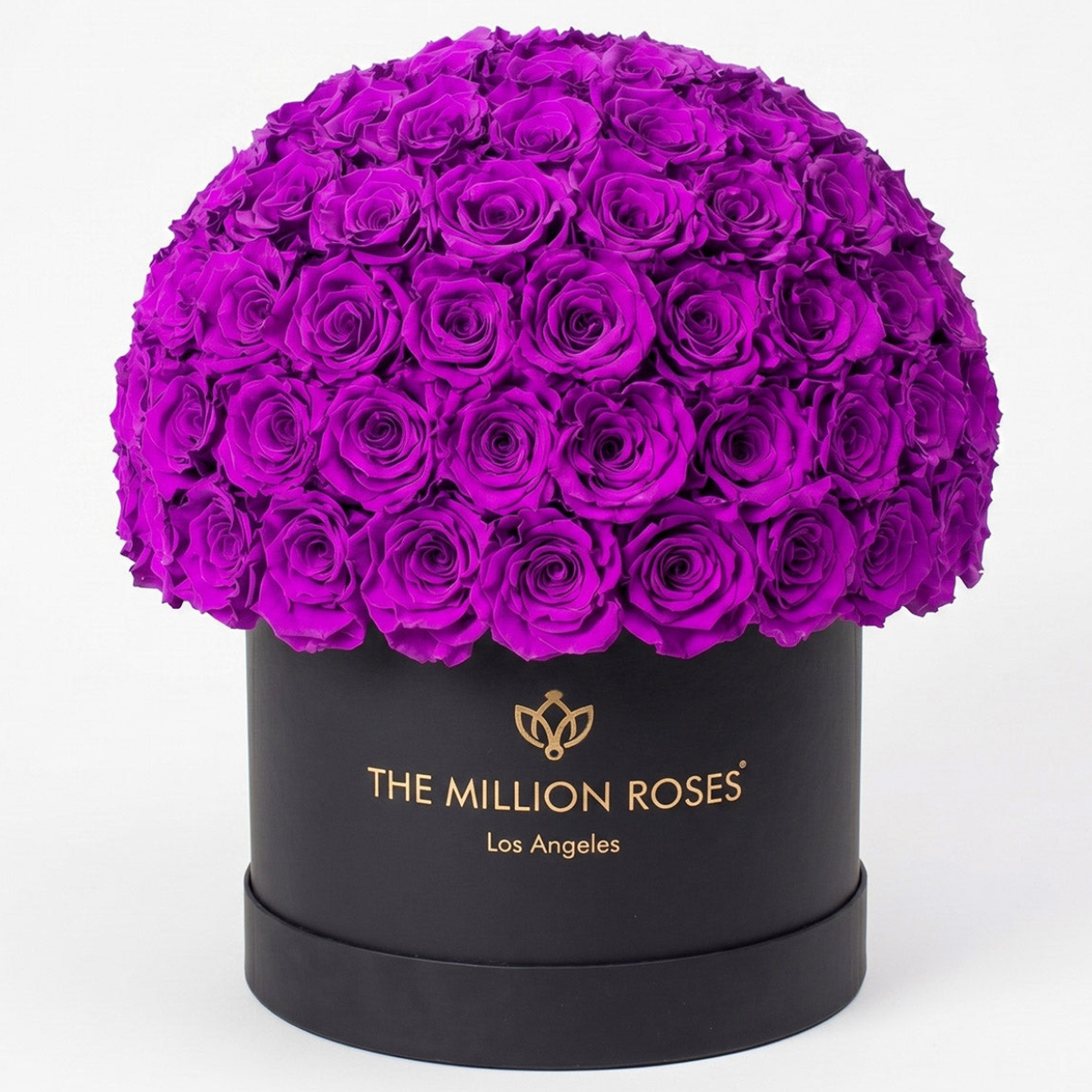 Supreme Black Superdome Box | Bright Purple Roses