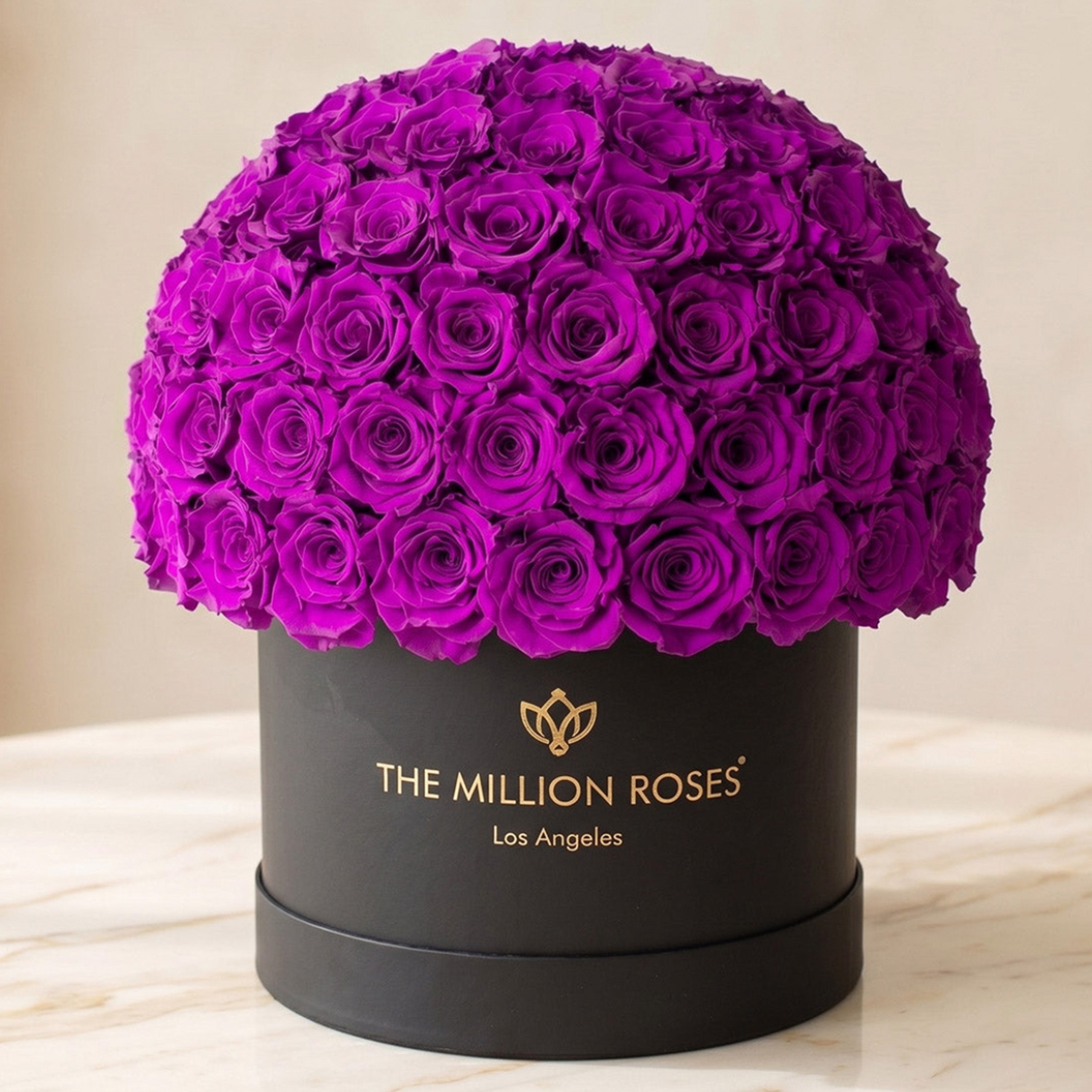 Supreme Black Superdome Box | Bright Purple Roses