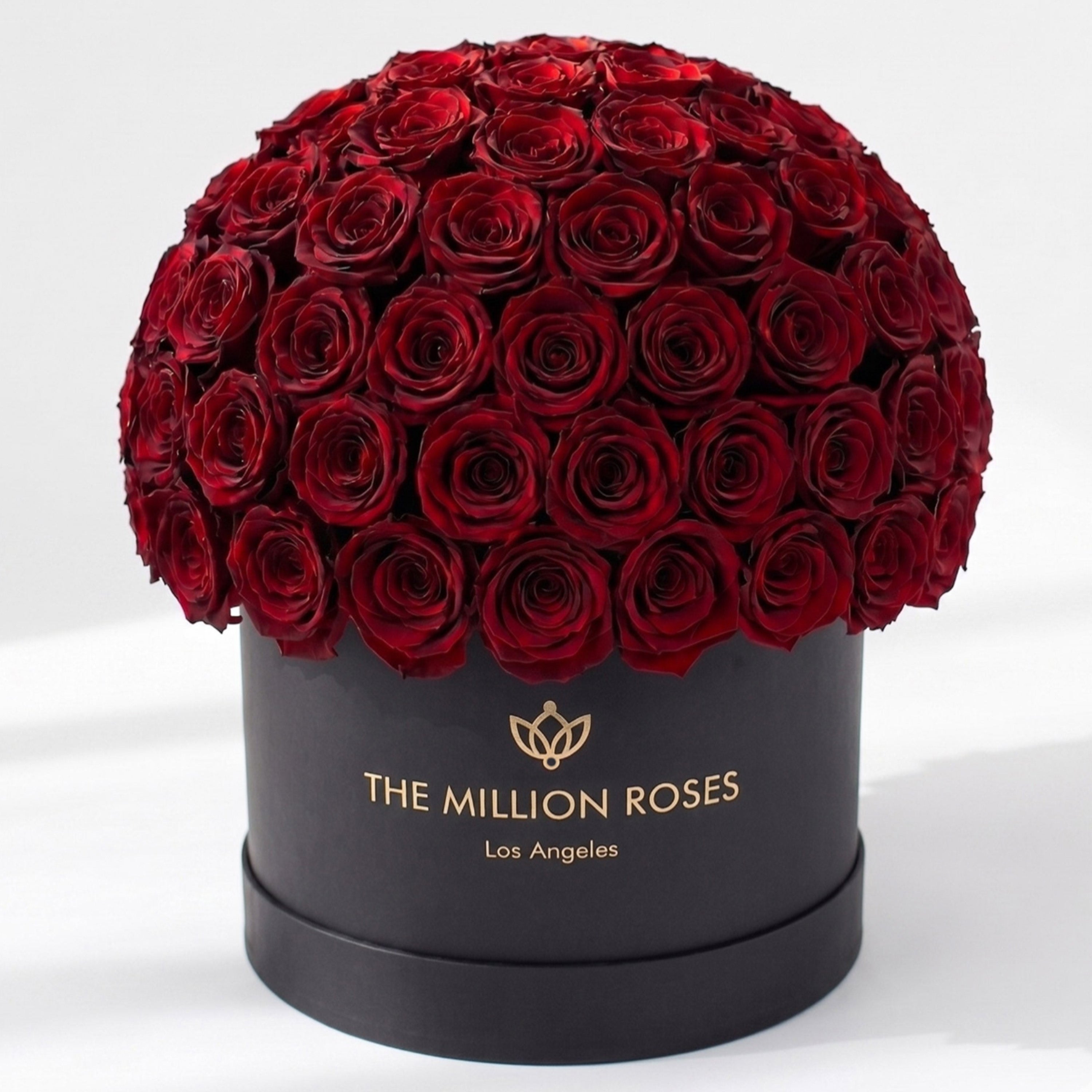 Supreme Black Superdome Box | Burgundy Roses