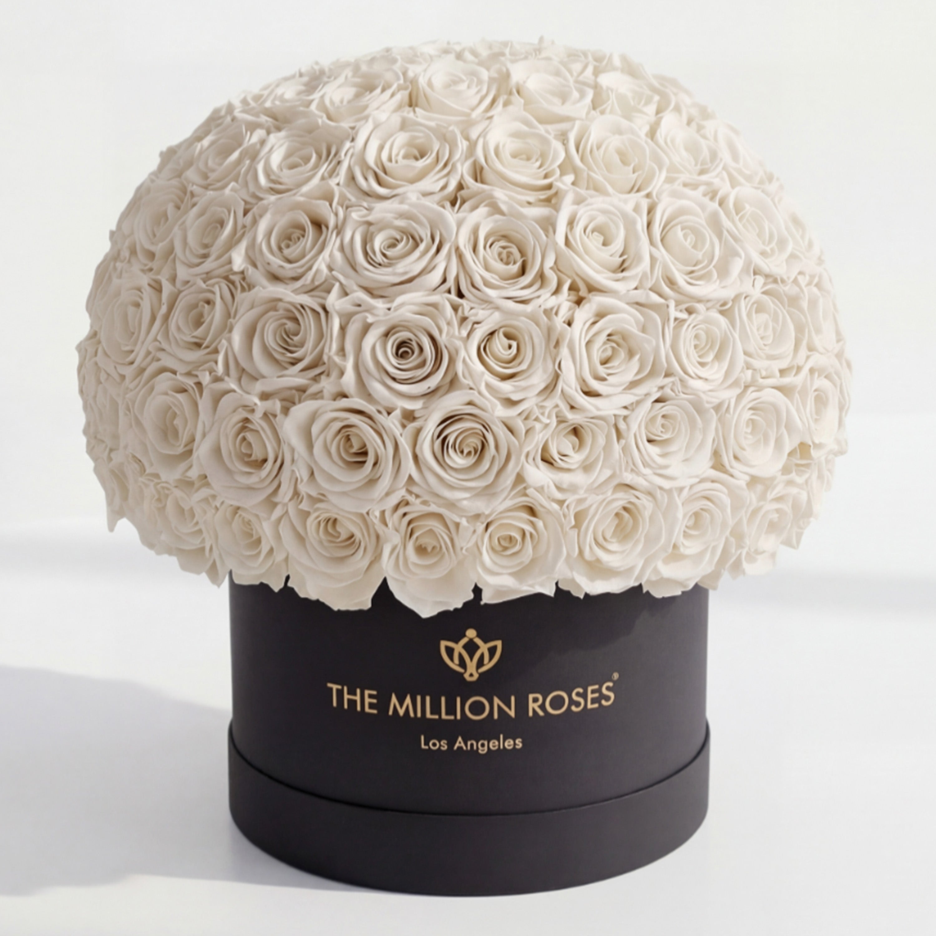 Supreme Black Superdome Box | White Roses