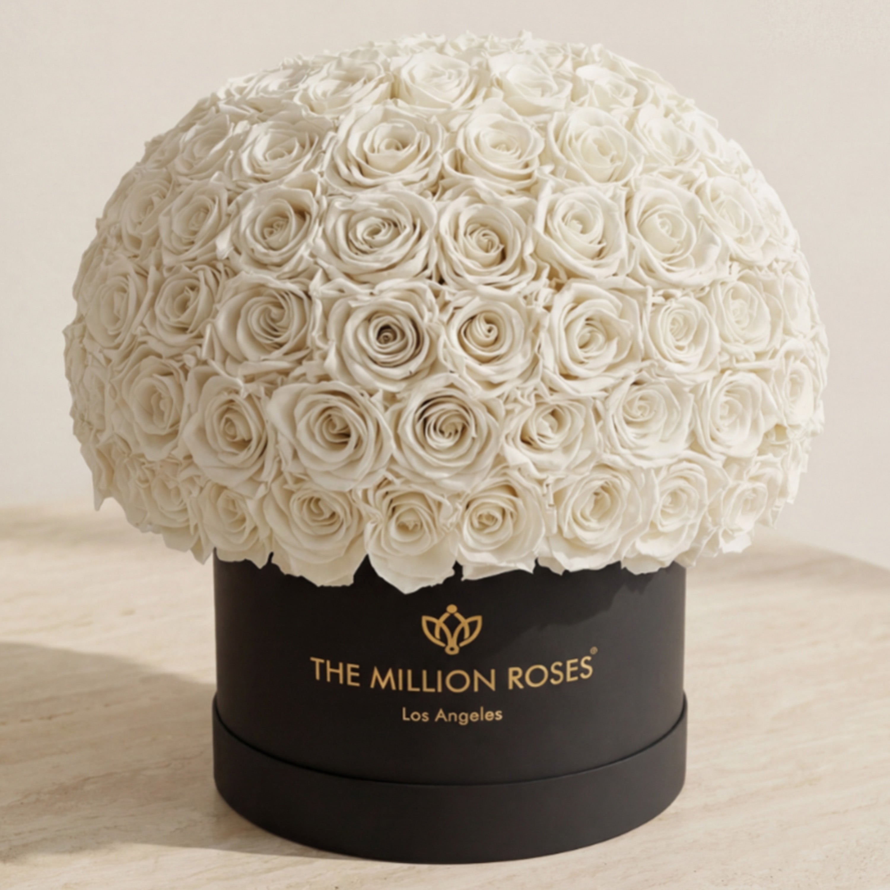 Supreme Black Superdome Box | White Roses