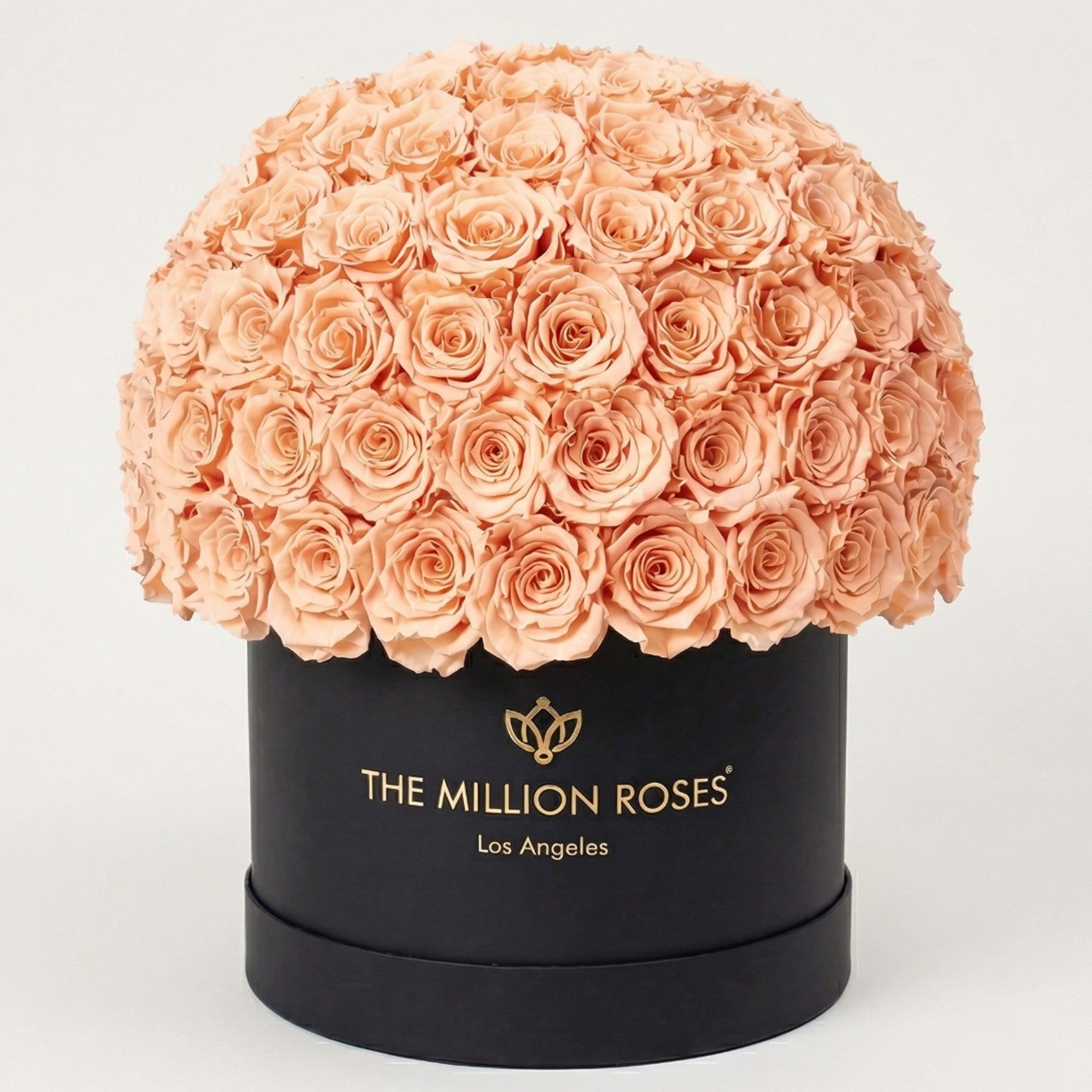 Supreme Black Superdome Box | Peach Roses