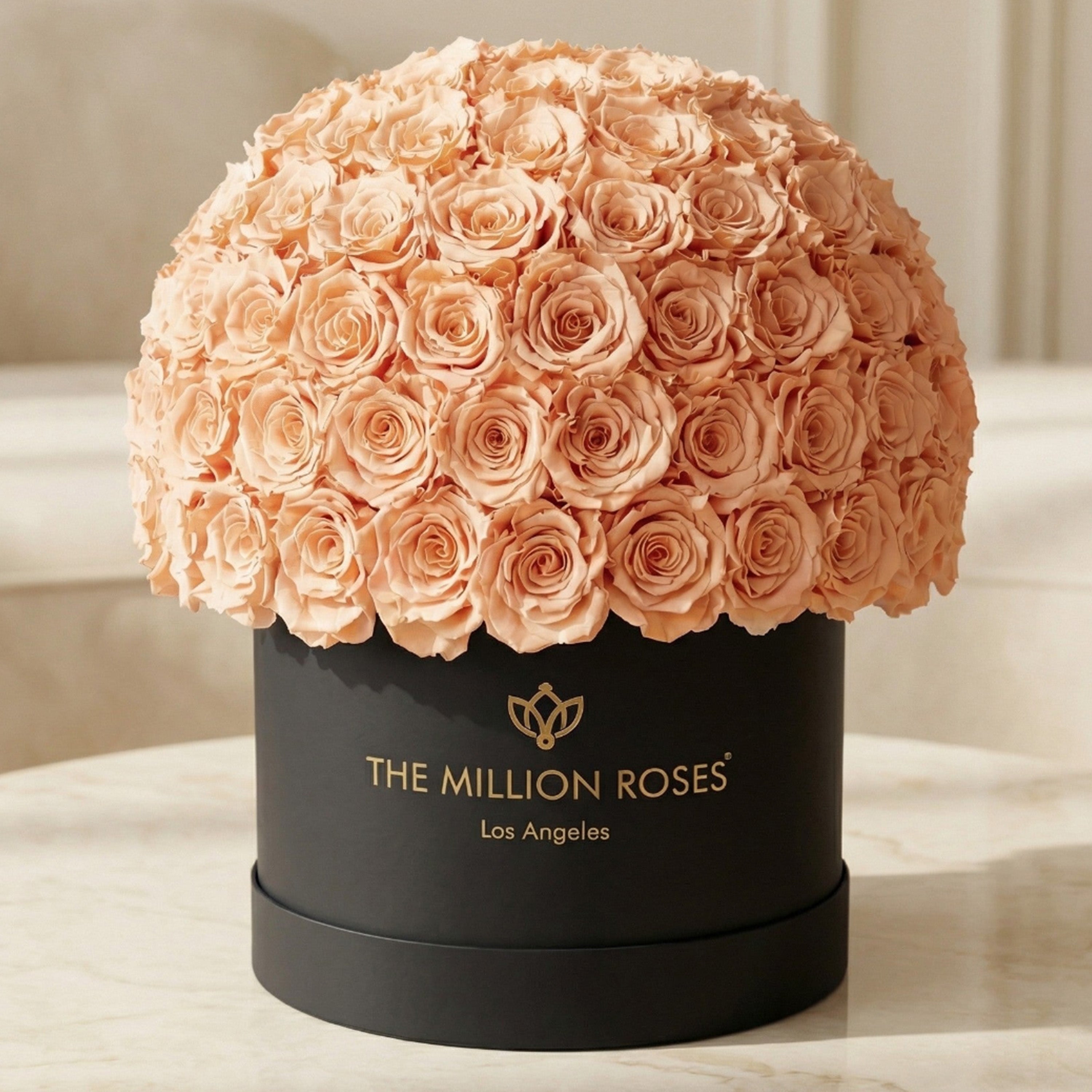Supreme Black Superdome Box | Peach Roses