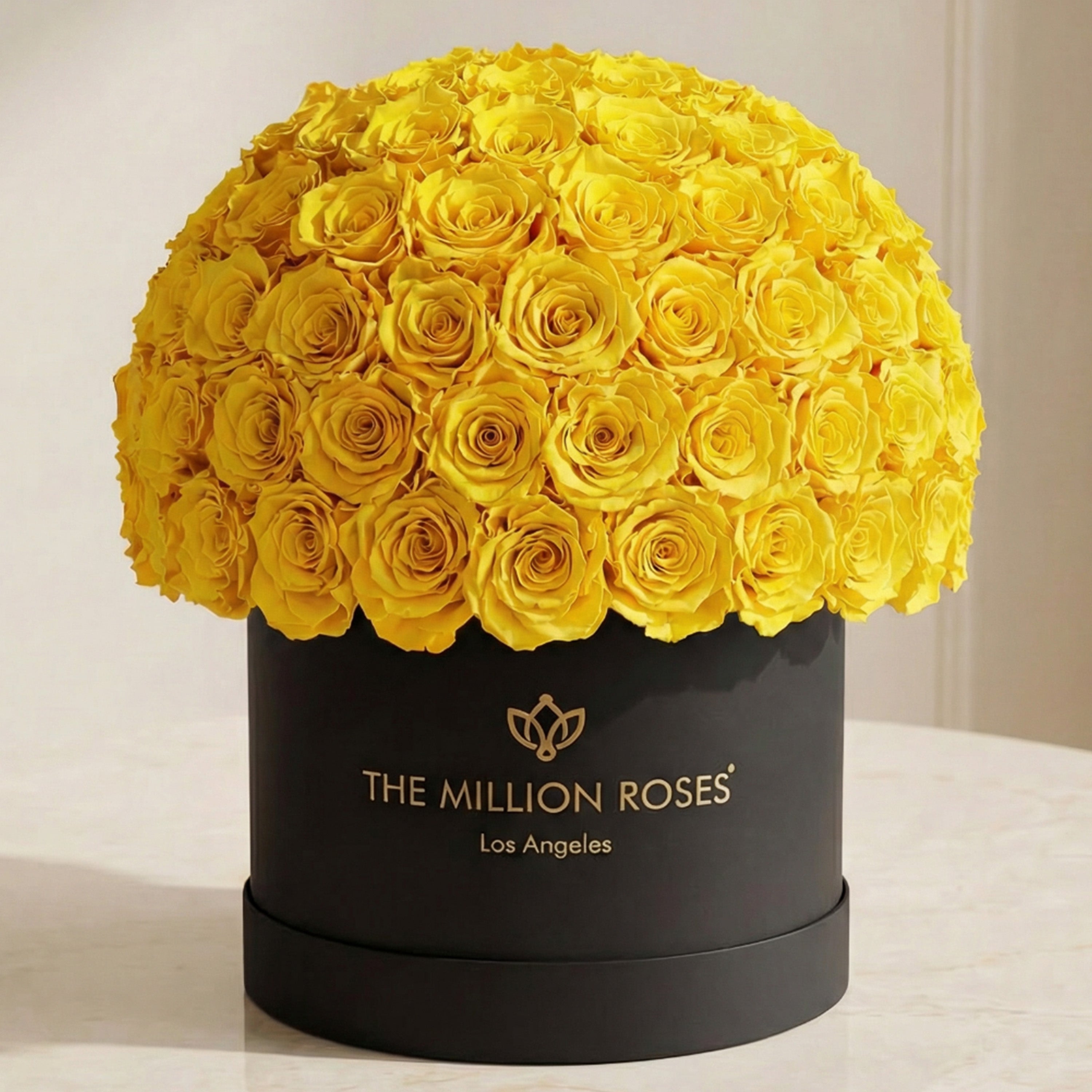Supreme Black Superdome Box | Yellow Roses