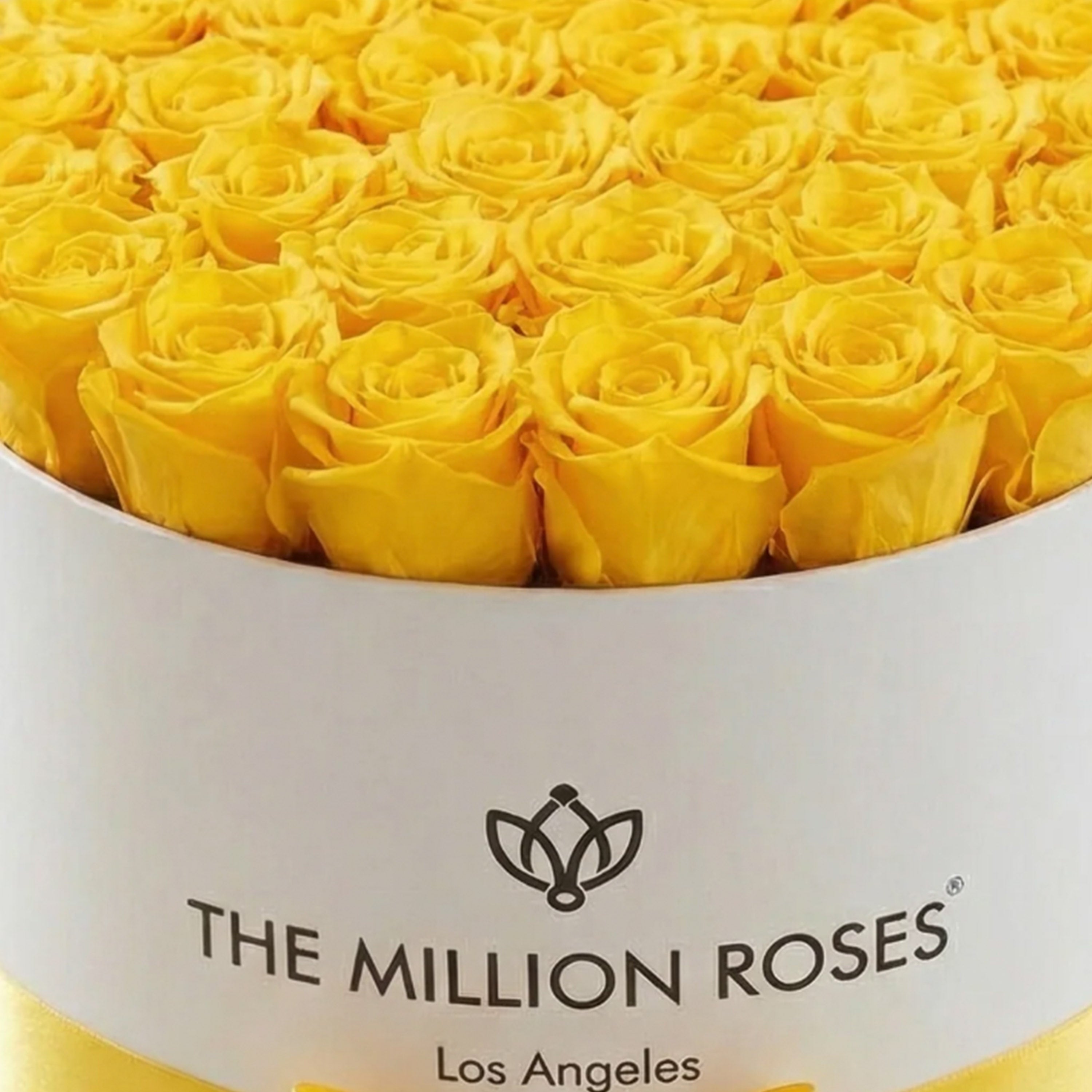 Supreme White Box | Yellow Roses