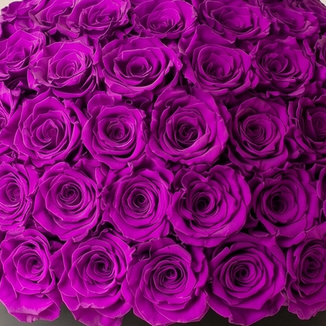 Supreme Black Superdome Box | Bright Purple Roses