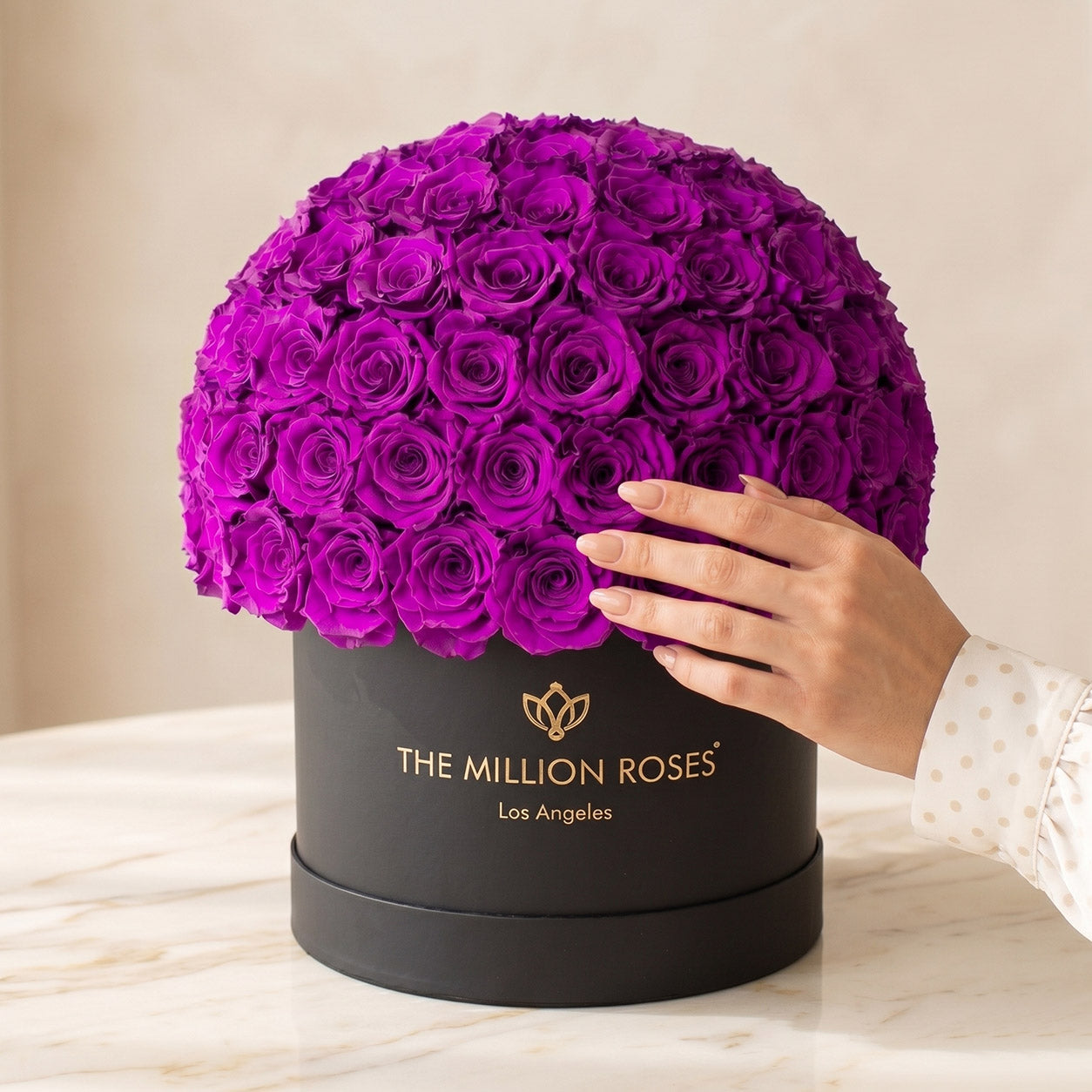 Supreme Black Superdome Box | Bright Purple Roses