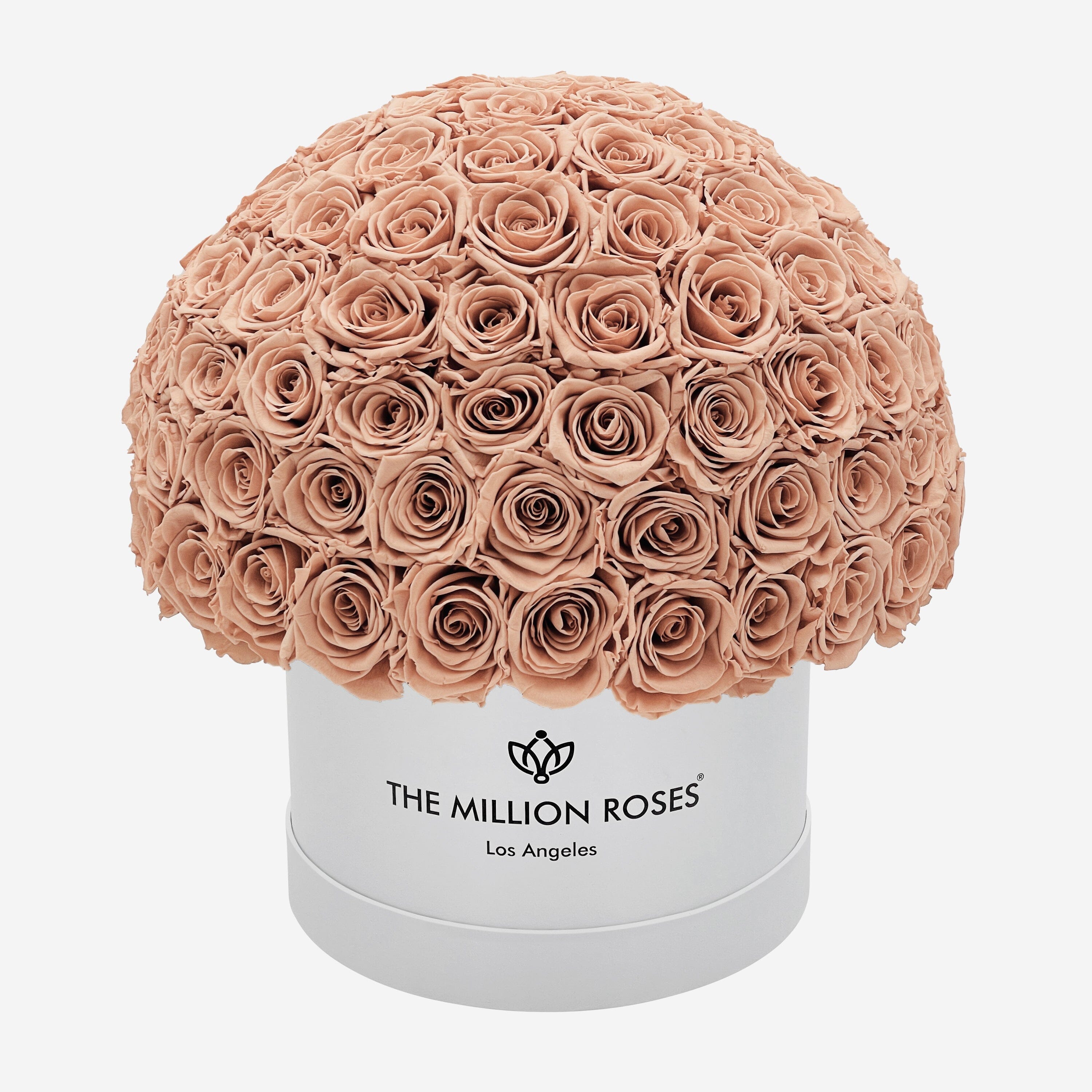 Boîte Superdome Supreme White | Roses de sable