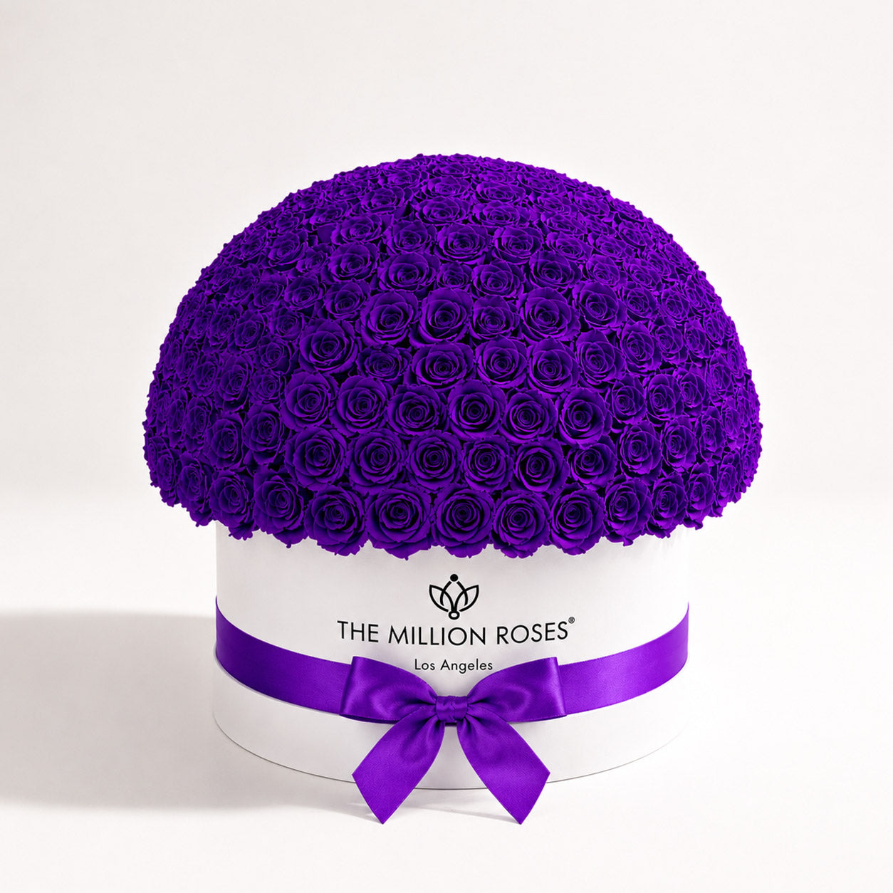 Deluxe White Dome Box | Bright Purple Roses