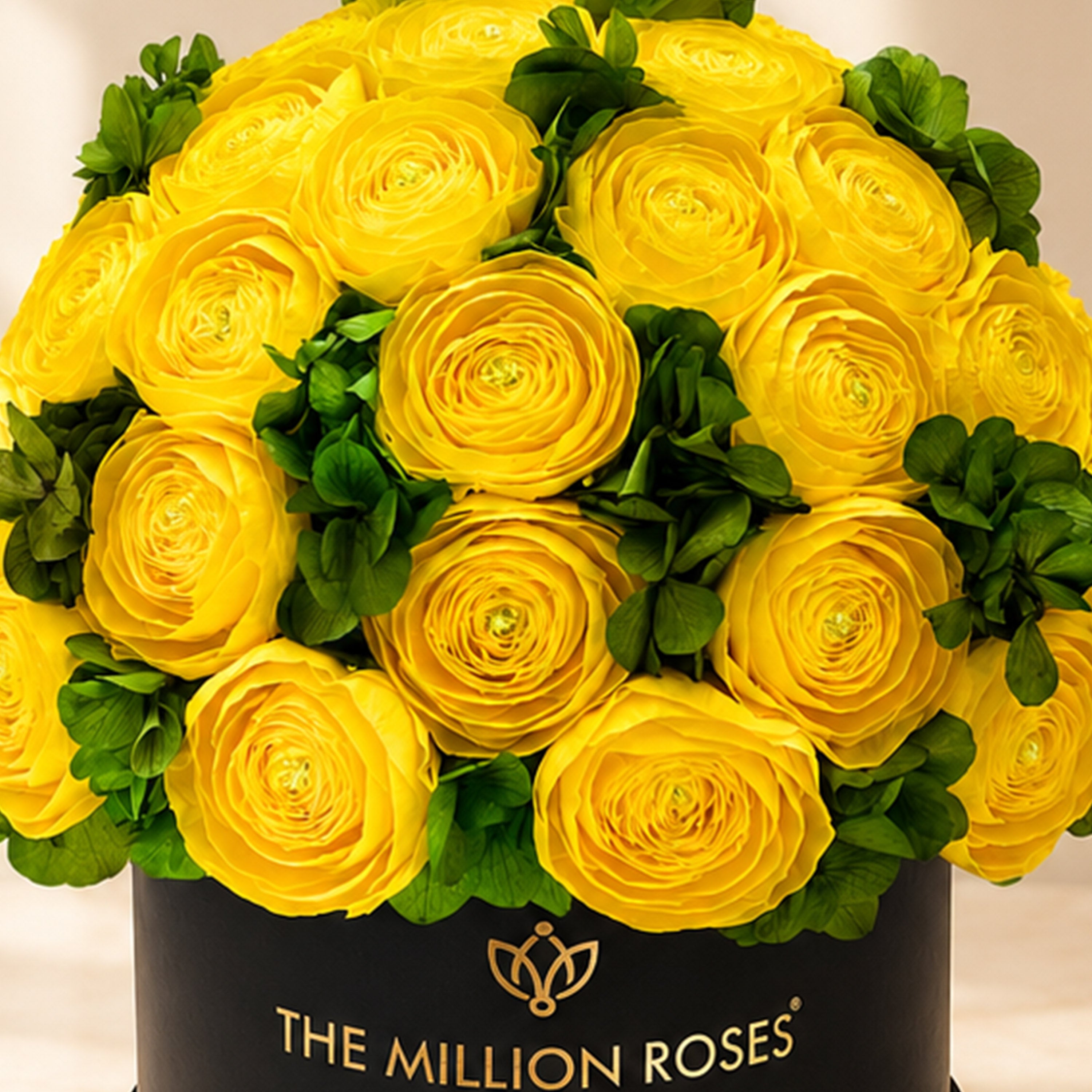 Classic Black Box | Yellow Persian Buttercups & Green Hydrangeas