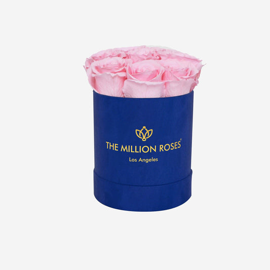 Basic Royal Blue Suede Box | Light Pink Roses - The Million Roses