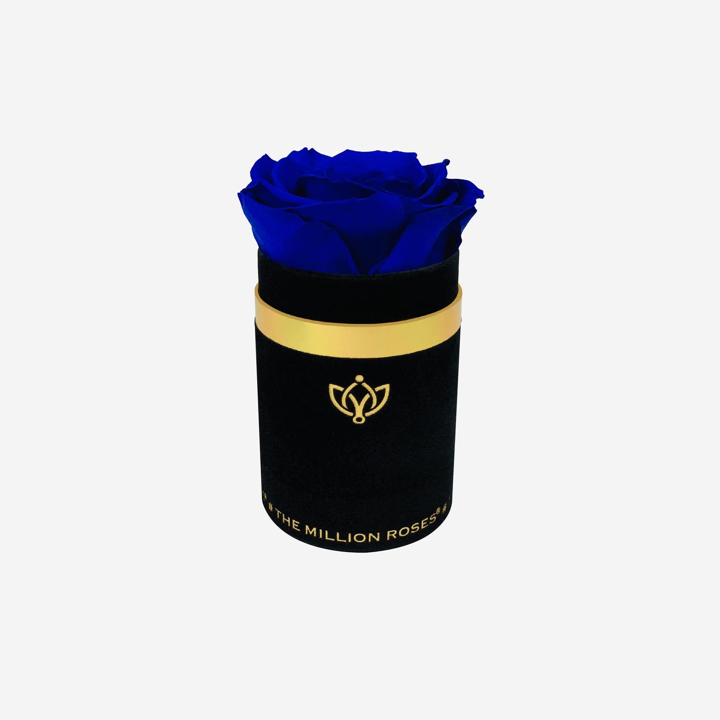 Single Black Suede Box | Royal Blue Rose - The Million Roses