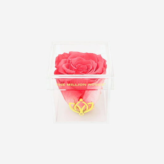 Acrylic Single Box | Coral Rose - The Million Roses