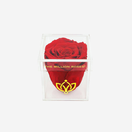 Acrylic Single Box | Red Rose - The Million Roses