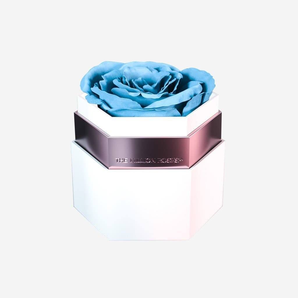 Rose stabilizzate - Blu scuro