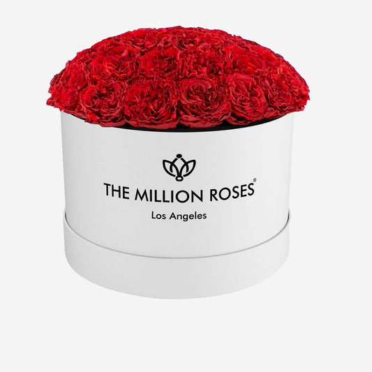 Supreme White Dome Box | Red Carmen Roses - The Million Roses