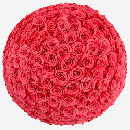 Deluxe White Dome Box | Coral Roses - The Million Roses