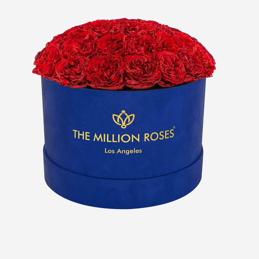 Supreme Royal Blue Suede Dome Box | Red Carmen Roses - The Million Roses