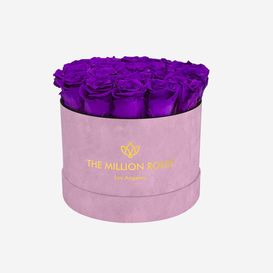 Classic Light Pink Suede Box | Bright Purple Roses - The Million Roses