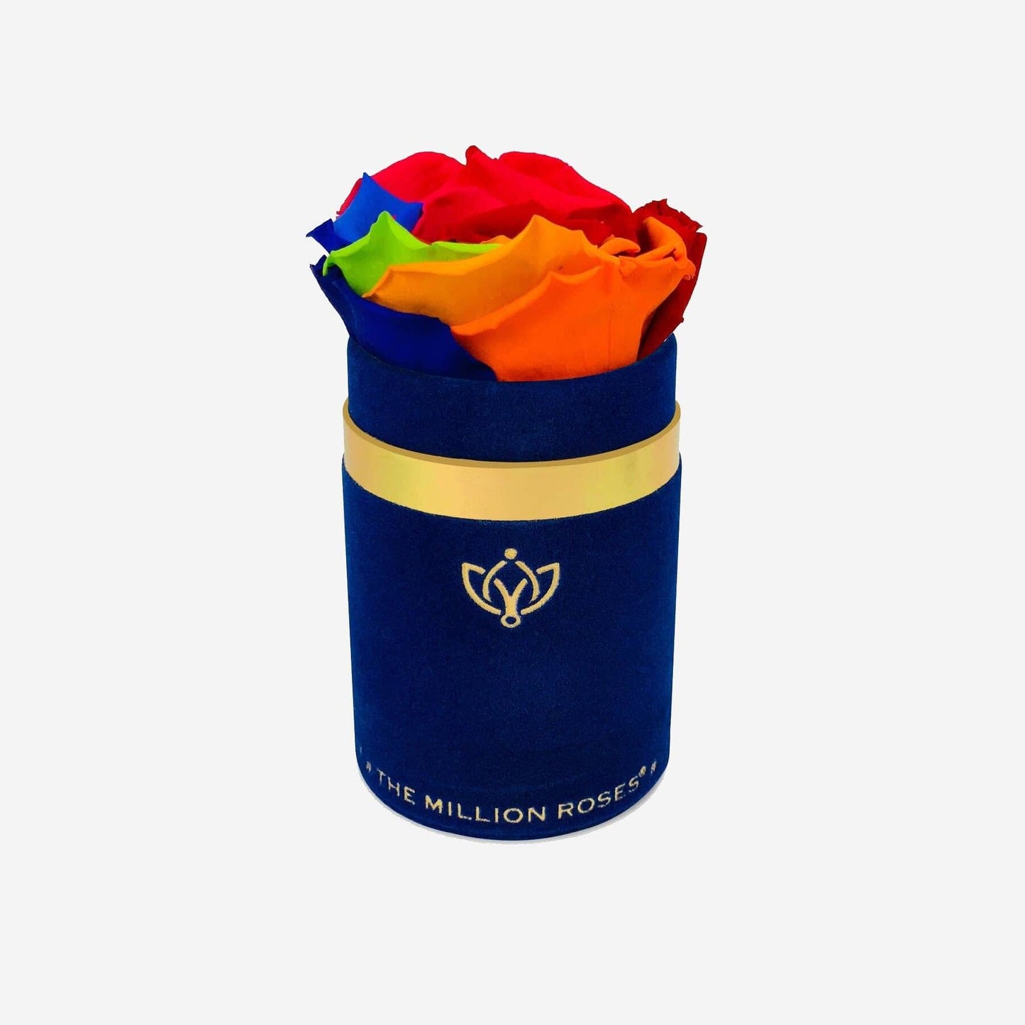 Single Royal Blue Suede Box | Rainbow Rose - The Million Roses