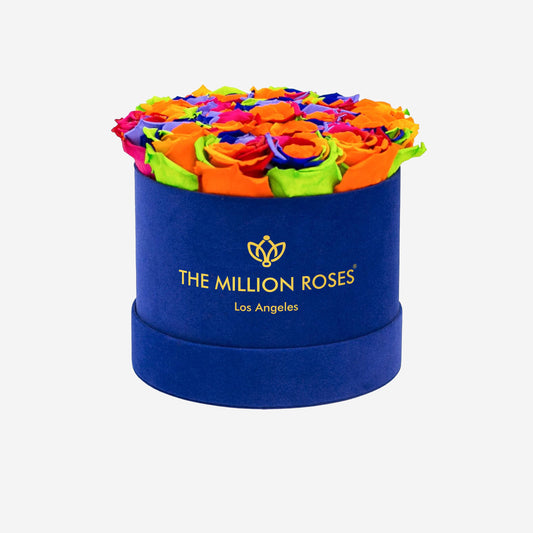 Classic Royal Blue Suede Box | Rainbow Roses - The Million Roses