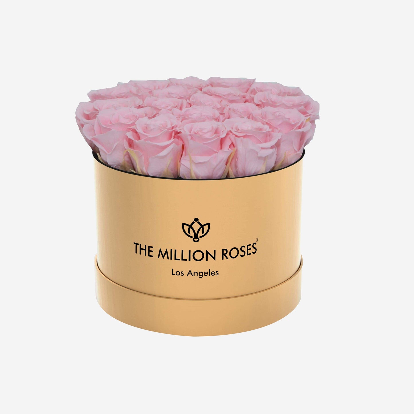 Classic Gold Box | Light Pink Roses - The Million Roses