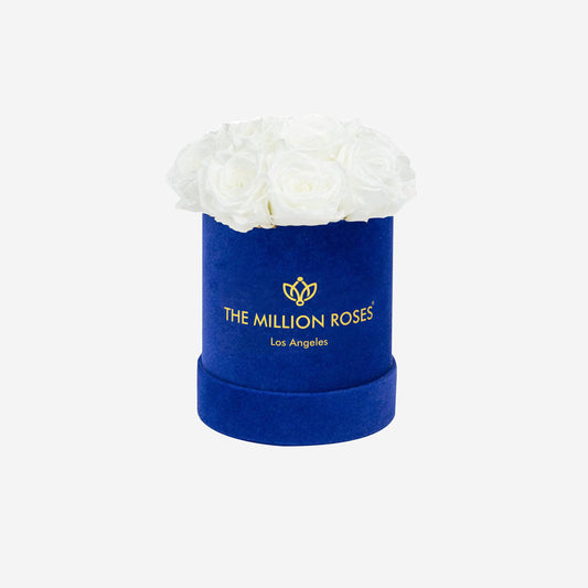 Basic Royal Blue Box | White Roses - The Million Roses