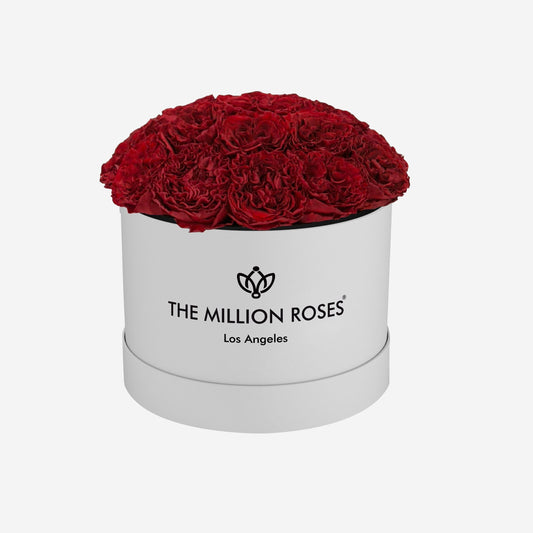 Classic White Dome Box | Red Carmen Roses - The Million Roses