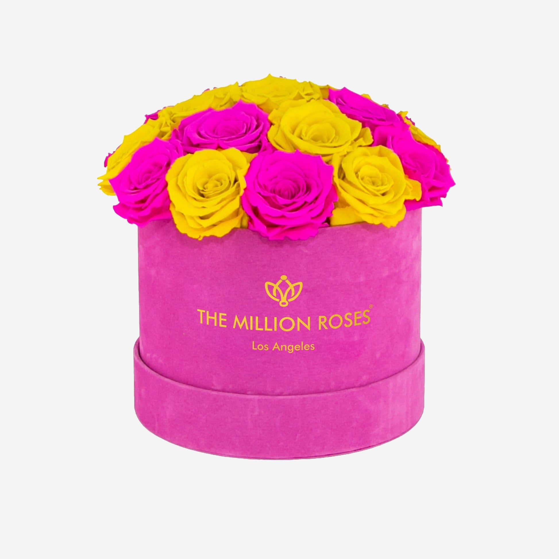 Classic Hot Pink Suede Dome Box | Neon Pink Roses | Various Combinations - The Million Roses