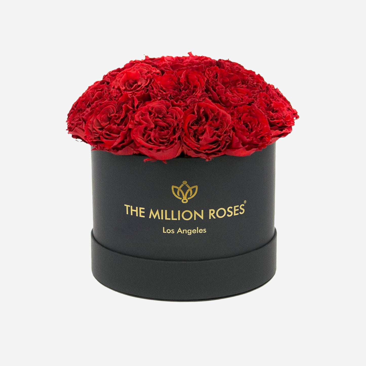 Classic Black Dome Box | Bright Red Carmen Roses - The Million Roses