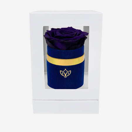 Single Royal Blue Suede Box | Dark Purple Rose - The Million Roses