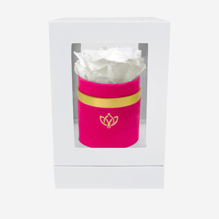 Single Hot Pink Suede Box | White Rose - The Million Roses